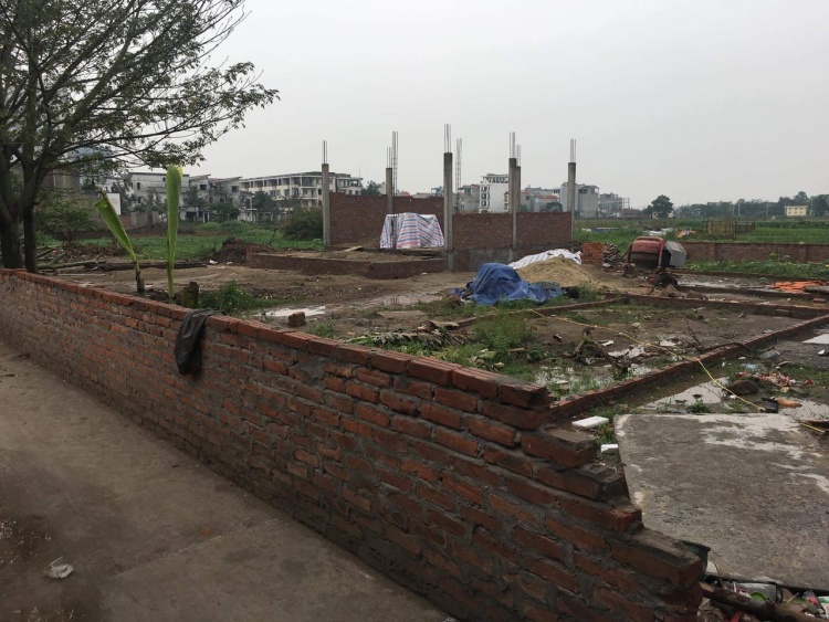 Tràn lan xây dựng công trình trái phép trên đất nông nghiệp