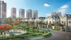 ubnd tinh thanh hoa phe duyet gan 900 du an dau gia quyen su dung dat