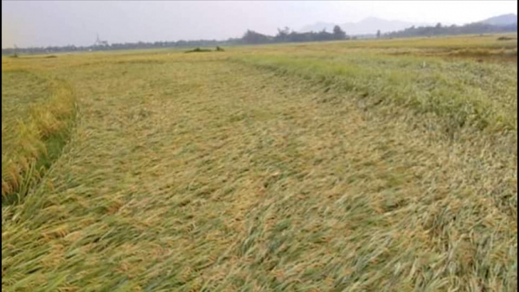 Hà Tĩnh xuất hiện lốc xoáy làm thiệt hại nhiều tỷ đồng