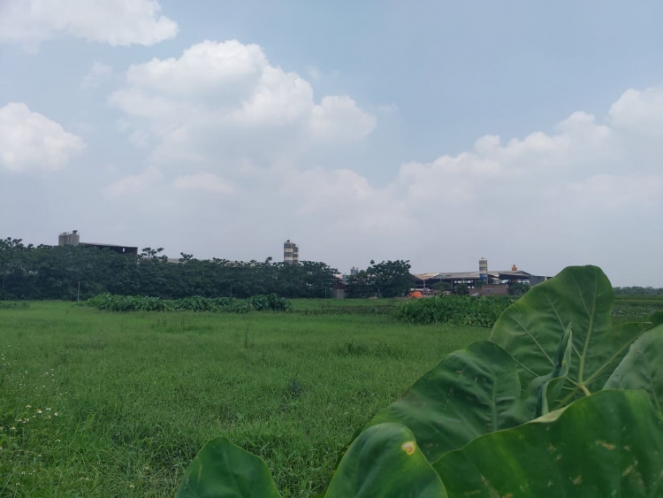 Hà Nội kiểm điểm 45 cán bộ liên quan đến sai phạm đất đai