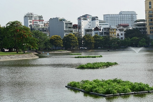 ho ba mau xanh trong sau khi duoc xu ly o nhiem