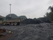 Hàng loạt sai phạm của Công ty than Thanh Hóa - Bài 4: Chính quyền "bất lực"