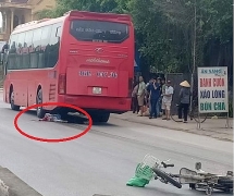 Thanh Hóa: Cụ ông 80 tuổi bị xe khách cán tử vong