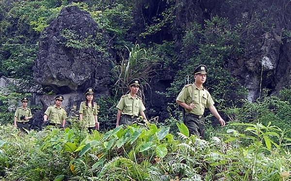 ninh binh tang cuong bao ve va phat trien rung