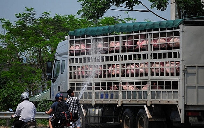 Thanh Hoá: Truy vết khẩn cấp người có liên quan tới lái xe mắc Covid-19 tại Vĩnh Phúc