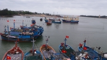 thanh hoa hang tram tau thuyen chua kip vao bo tranh bao so 3