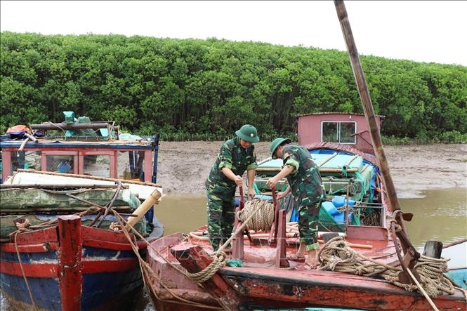 Toàn bộ lao động trên biển của tỉnh Ninh Bình đã vào bờ an toàn