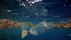 Lượng rác thải nhựa ở Đại Tây Dương cao hơn nhiều ước tính lâu nay