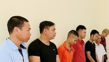 Ninh Bình: Bắt quả tang 7 đối tượng đang đánh bạc