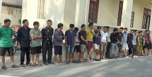 Khởi tố, bắt tạm giam 16 đối tượng vụ trộm chó ở Thanh Hóa