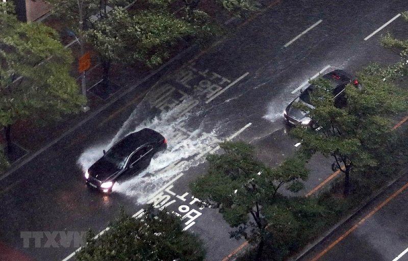 undefined 5410 ttxvn bao haishen do bo han quoc