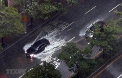 bao haishen khien hai lo phan ung hat nhan o han quoc dung hoat dong