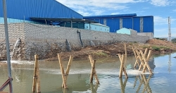 Thanh Hóa: Xả thải trực tiếp ra sông 2 công ty bị xử phạt gần 1 tỷ đồng