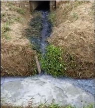 Thanh Hoá: Công ty bao bì Long Sơn bị tố xả thải gây ô nhiễm môi trường