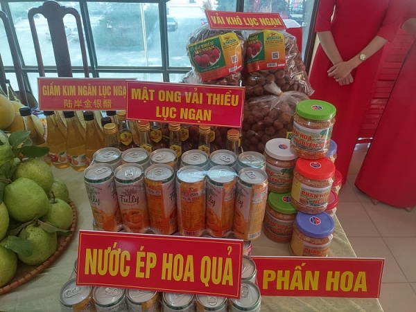 bac giang hoi cho cam buoi luc ngan co 180 gian hang quang ba