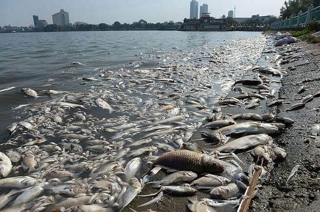 Ô nhiễm môi trường biển đang ở mức báo động đỏ