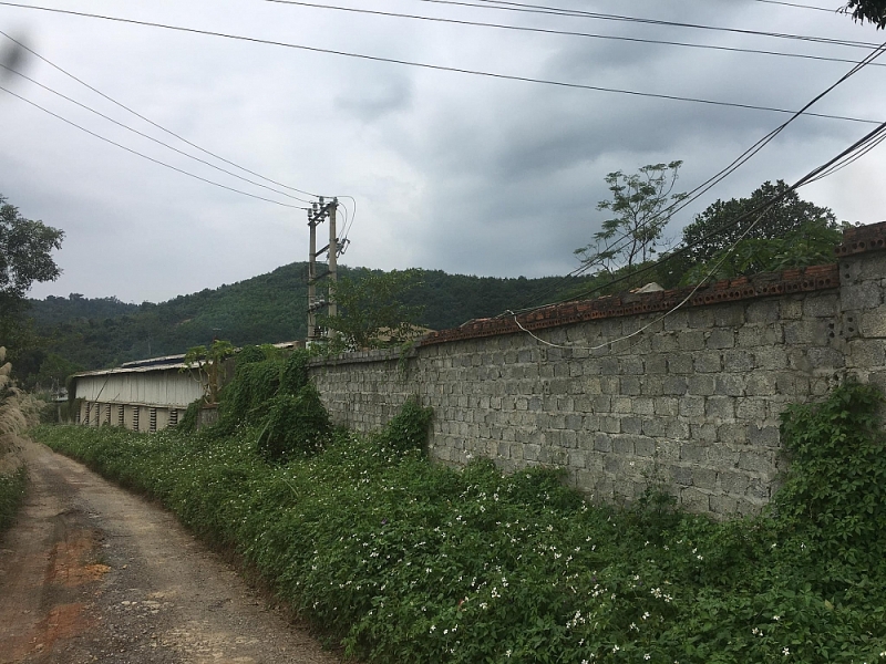 Đề nghị kiểm điểm tập thể, cá nhân huyện Như Xuân vụ Công ty Khánh Nam gây ô nhiễm