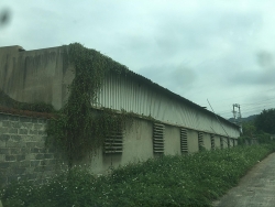 cong ty tnhh khanh nam ngang nhien thach thuc phap luat