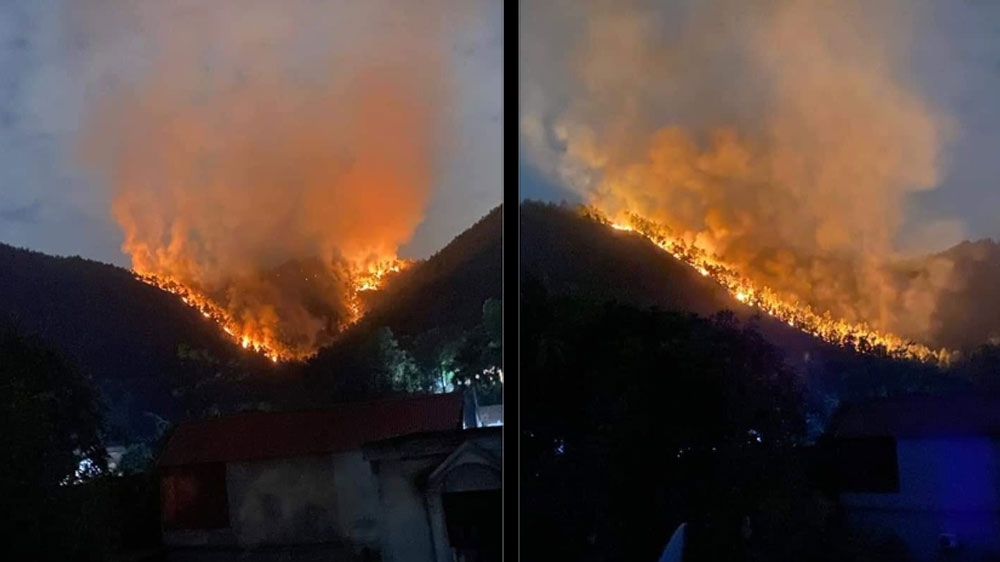 Bắc Giang: Làm rõ nguyên nhân cháy rừng tại Yên Dũng