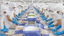 Một năm phục hồi và phát triển ấn tượng của ngành thủy sản