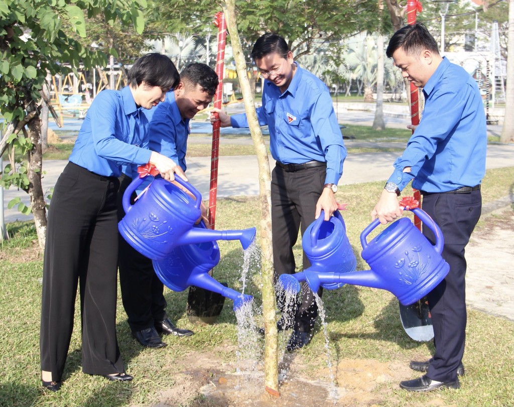 Ttrong năm 2023 Thành đoàn Đà Nẵng sẽ tiếp tục hỗ trợ đoàn viên, thanh niên lập nghiệp, khuyến khích phát triển kinh tế rừng bền vững (Ảnh Đ.Minh)