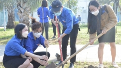 Thành đoàn Đà Nẵng trao tặng cây trồng cho đoàn viên, thanh niên phát triển kinh tế