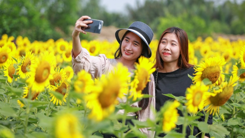 Giới trẻ đang sẵn sàng đối mặt với áp lực