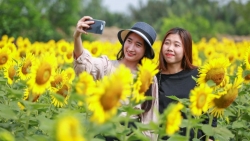 Giới trẻ đang sẵn sàng đối mặt với áp lực