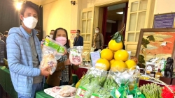 Chăn nuôi sạch, nông dân Hà thành tạo ra thịt lợn trùn quế, gà vi sinh nức tiếng