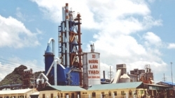 Hải quan Quảng Ninh công bố nhiều doanh nghiệp nợ thuế hàng chục tỷ đồng