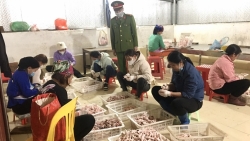 Bắc Giang: Phát hiện, tiêu hủy 2 tấn chân gà đông lạnh không rõ nguồn gốc