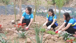 Thanh niên Hoàn Kiếm tham gia trồng cây xanh, bảo vệ môi trường