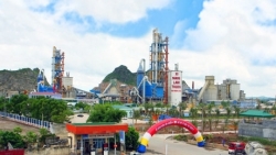 Hải quan Quảng Ninh “bêu tên” hàng loạt doanh nghiệp nợ thuế quá hạn