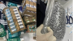 Vụ vận chuyển 11kg ma túy: Trả tự do 4 tiếp viên Vietnam Airlines