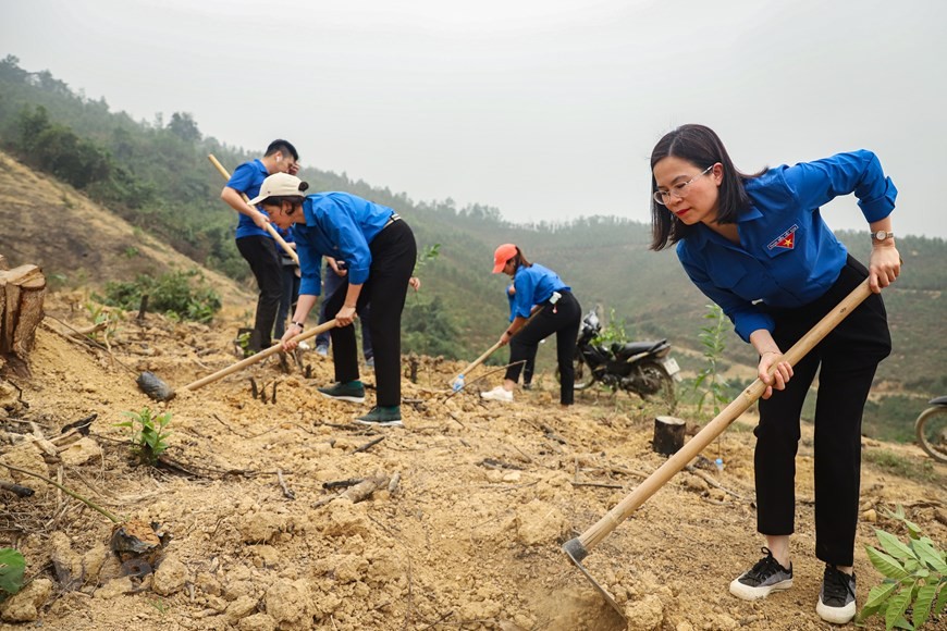 Đoàn Thanh niên Khối Doanh nghiệp Trung ương phát động lễ trồng rừng 2023