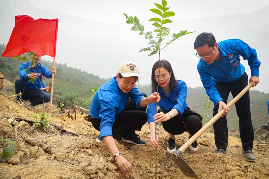 Đoàn Thanh niên Doanh nghiệp Trung ương phát động lễ trồng rừng 2023