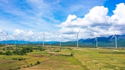 Bộ Công thương duyệt giá mua điện của 15 nhà máy năng lượng tái tạo