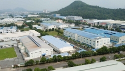 Bất động sản công nghiệp vẫn ‘hút’ nhà đầu tư ngoại