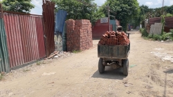 Hà Nội yêu cầu xử lý dứt điểm vi phạm trên đất nông nghiệp