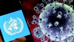 Biến thể phụ EG.5 Omicron khiến số ca mắc COVID-19 mới trên toàn cầu tăng 80%