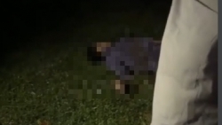 Bắc Giang: Người đàn ông tử vong khi rơi từ tầng 6 Bệnh viện đa khoa tỉnh