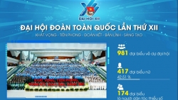 toan canh dai hoi dai bieu toan quoc doan tncs ho chi minh khoa xii