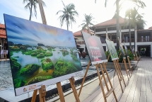 Thúc đẩy hợp tác nhiều mặt giữa Đà Nẵng với các đối tác Nhật Bản