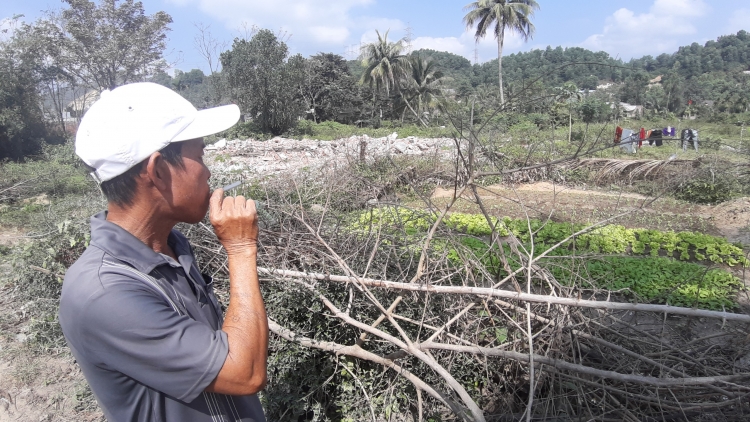 da nang 3 du an tai dinh cu tai hoa lien sai pham ra sao