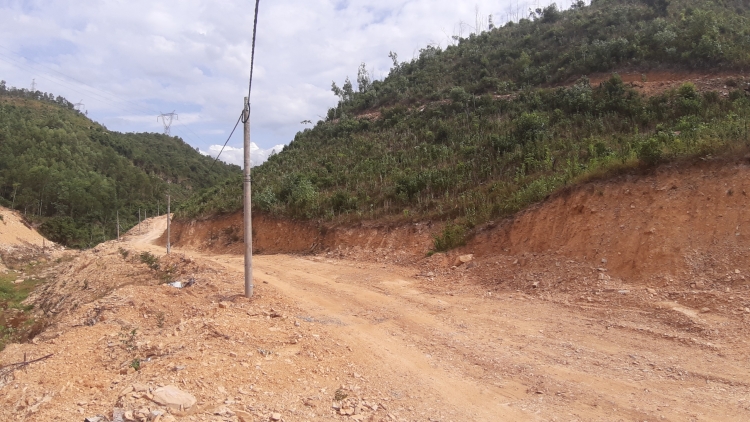 da nang vao rung don cay nguoi dan ong bi ong dot tu vong