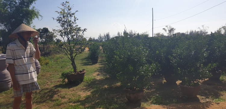 Vụ TP Hội An thua kiện, một hộ dân đã được ký Quyết định cấp sổ đỏ