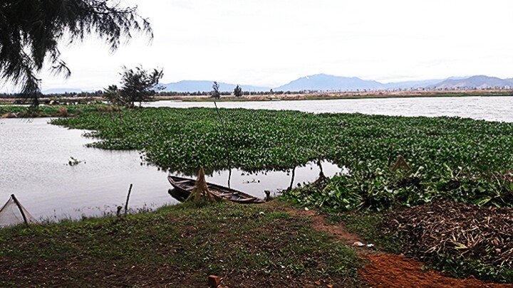 da nang tam song co co cung nhom ban mot nam hoc sinh bi duoi nuoc