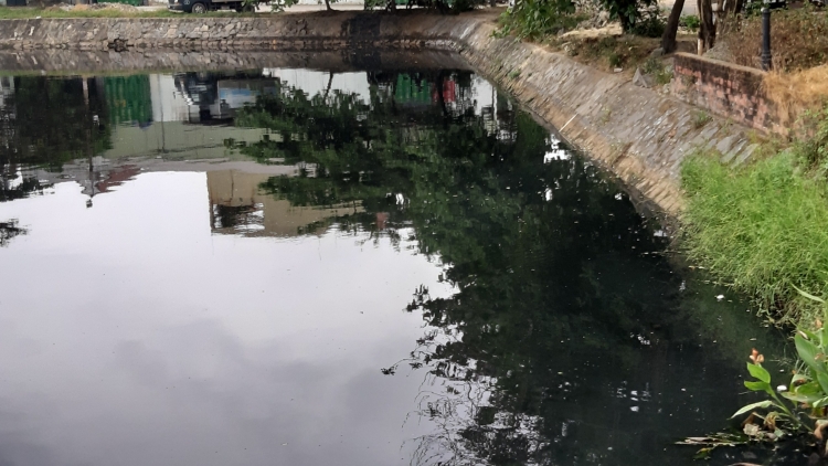 can canh ho dieu tiet gay o nhiem nhat nhi o da nang