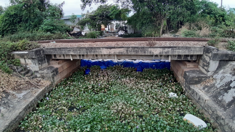 can canh ho dieu tiet gay o nhiem nhat nhi o da nang