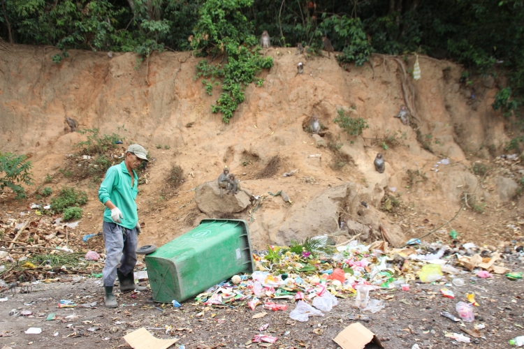 du khach cho khi an tren ban dao son tra nguy co mat an toan lay nhiem benh tat